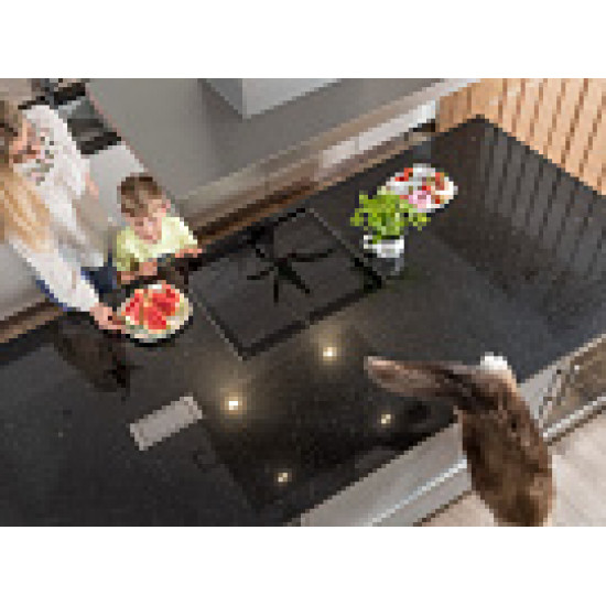 Кварцевый агломерат Starlight Black Technistone Technistone (Технистоун)
